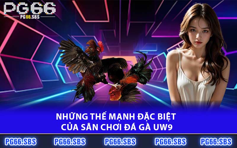 Những thế mạnh đặc biệt của sân chơi đá gà UW9