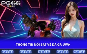Thông tin nổi bật về đá gà UW9